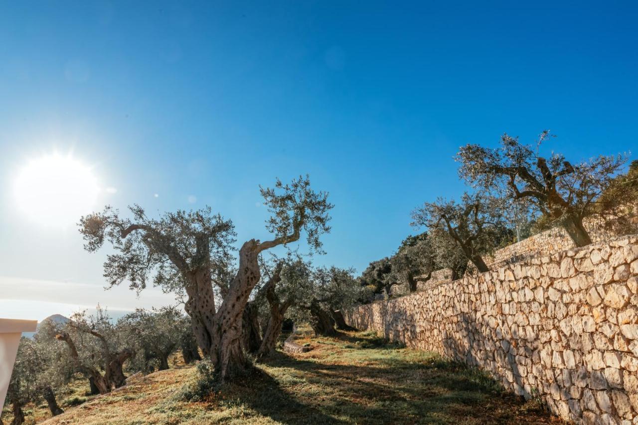 Kaom Lux Daire Dobra Voda Dış mekan fotoğraf